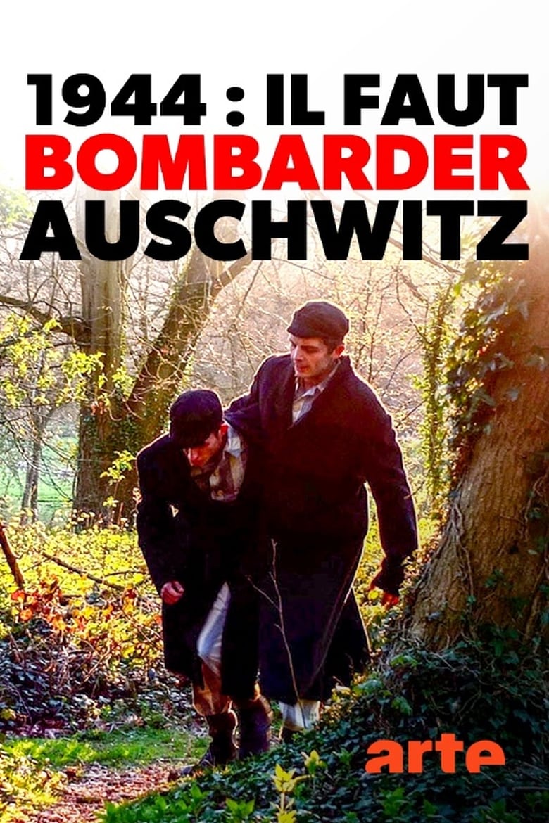 affiche du film 1944 : il faut bombarder Auschwitz