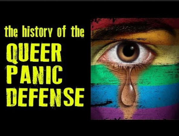 affiche du film The History of the Queer Panic Defense