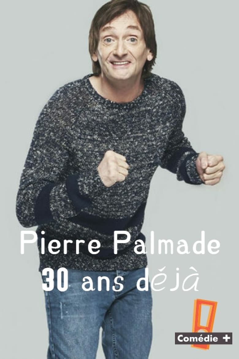 affiche du film Pierre Palmade 30 ans déjà