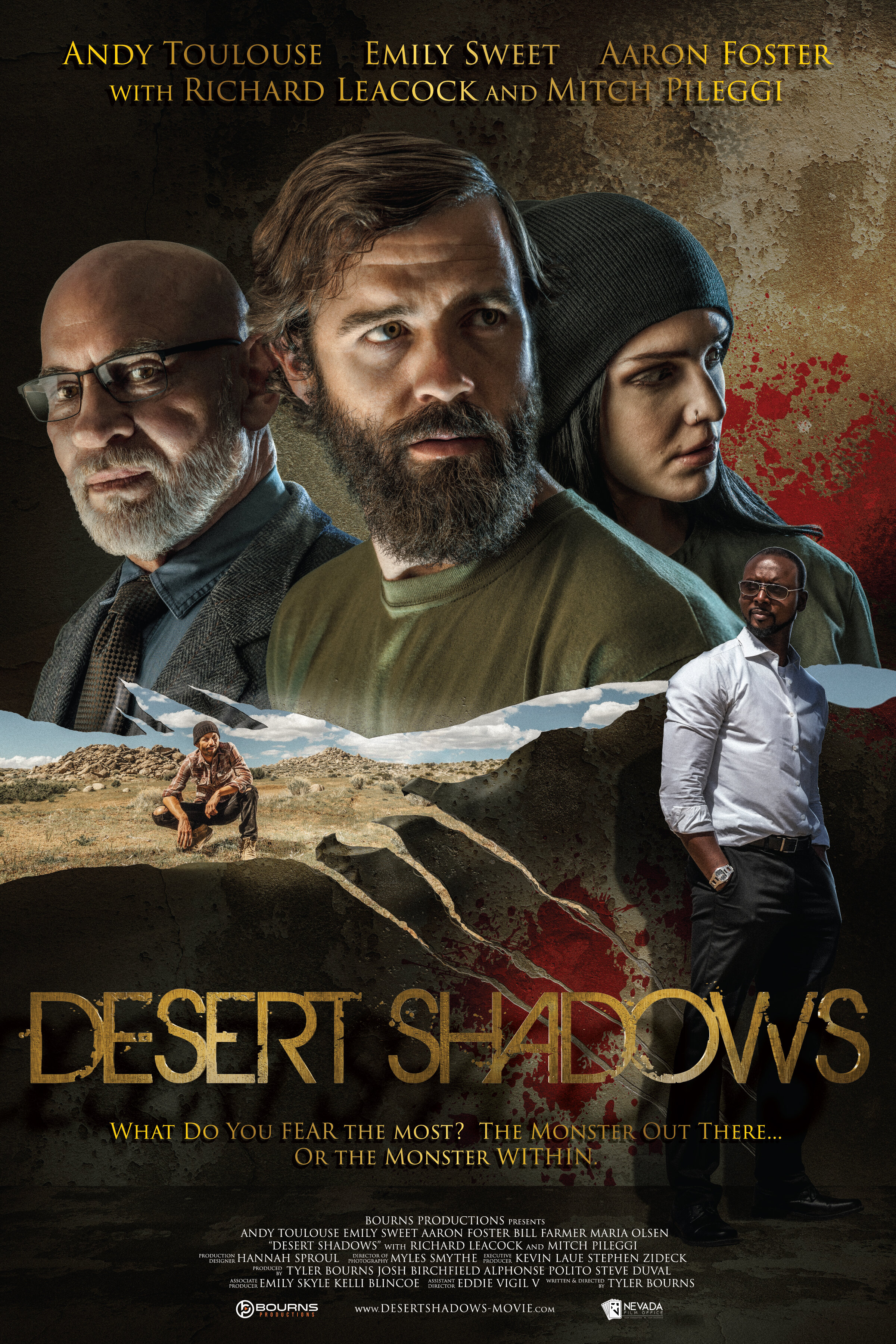 affiche du film Desert Shadows