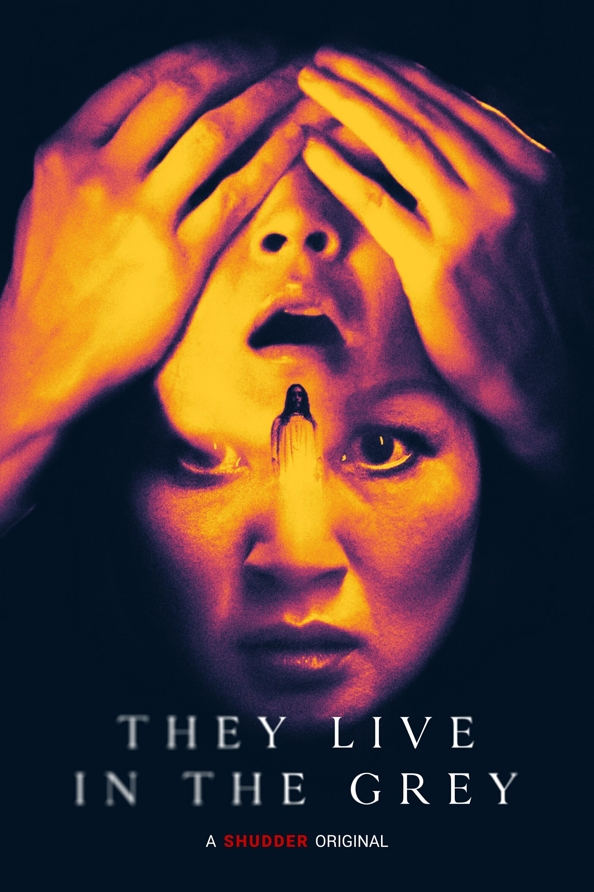 affiche du film They Live in The Grey