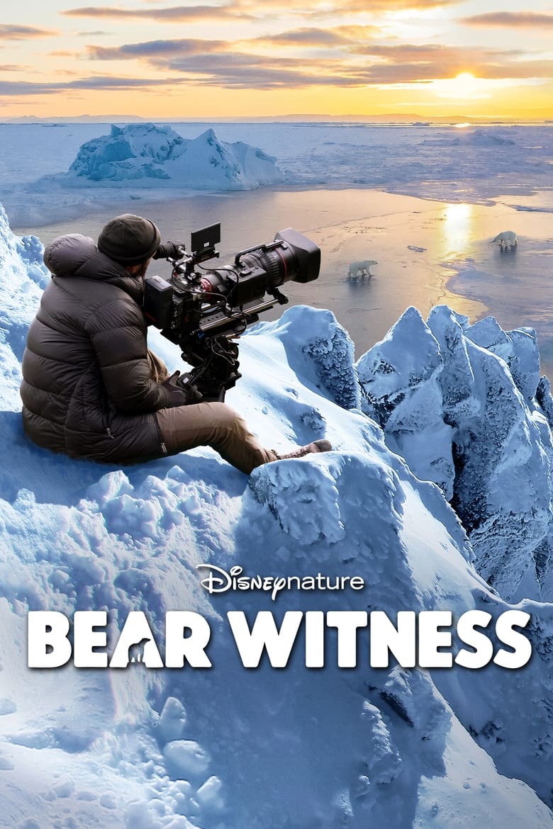 affiche du film Bear Witness