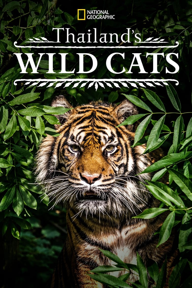affiche du film Thailand's Wild Cats