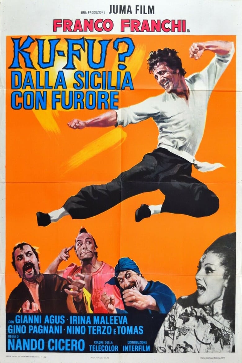 affiche du film Le Roi du kung-fu