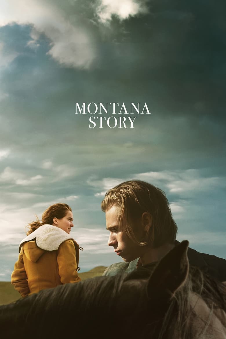 affiche du film Montana Story