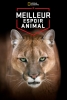 Meilleur espoir animal (America's Greatest Animals)