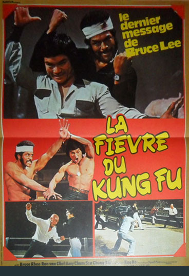 affiche du film La Fièvre du kung-fu