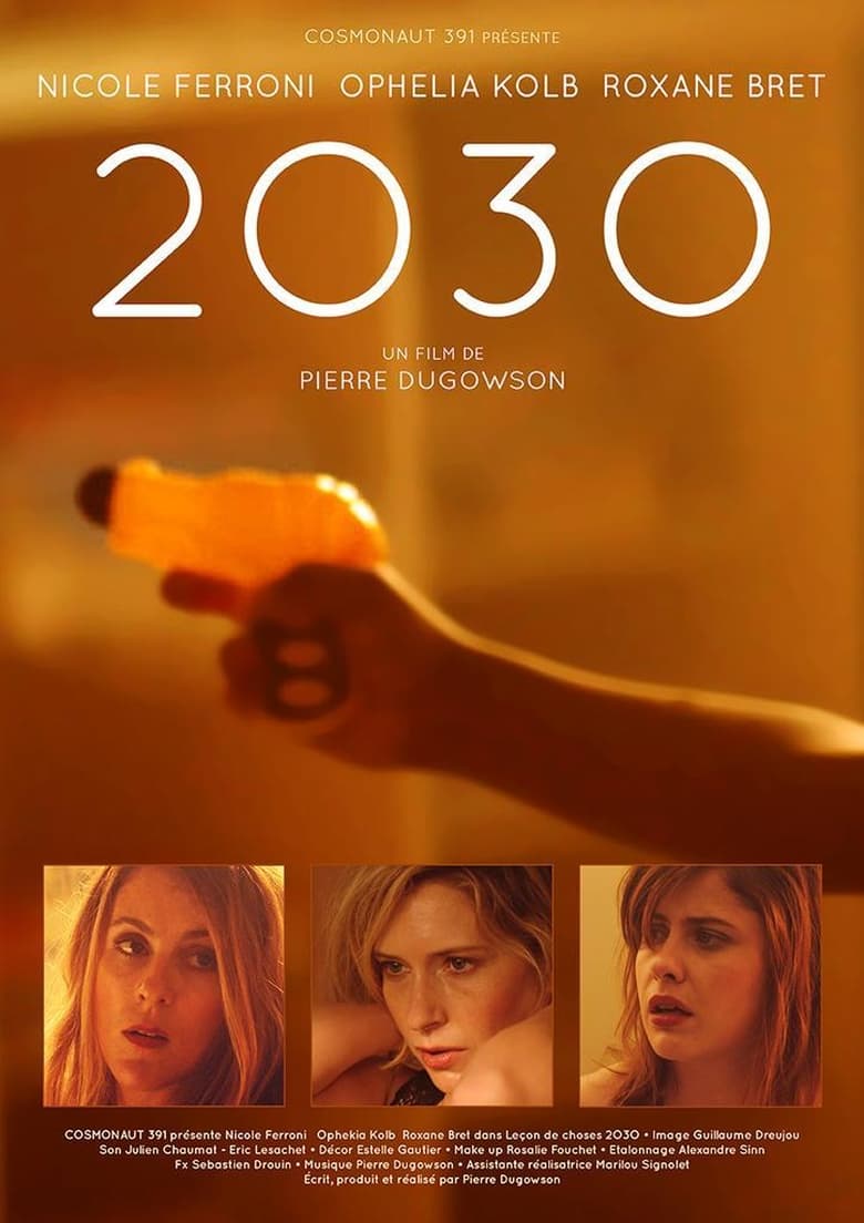 affiche du film 2030