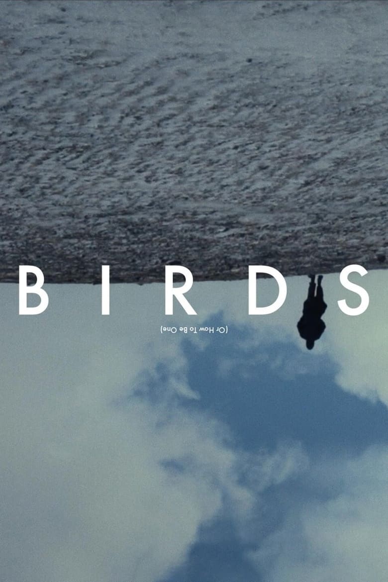 affiche du film Birds (or how to be one)