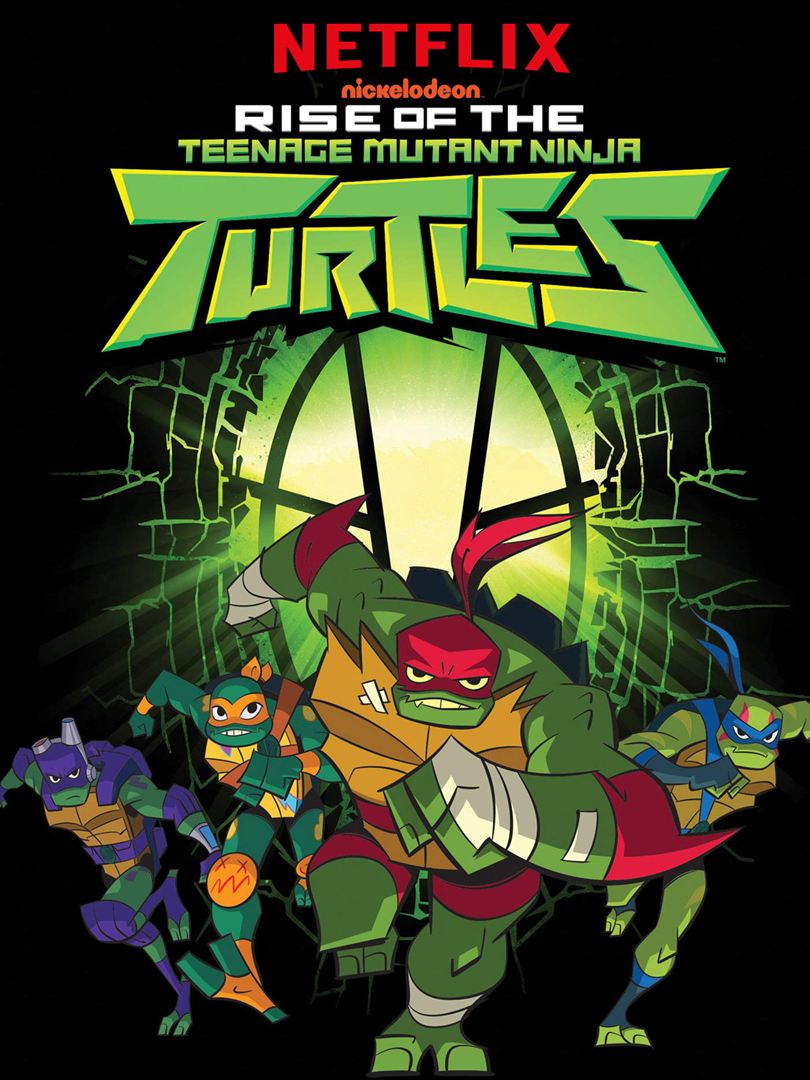 affiche du film Rise of the Teenage Mutant Ninja Turtles: The Movie