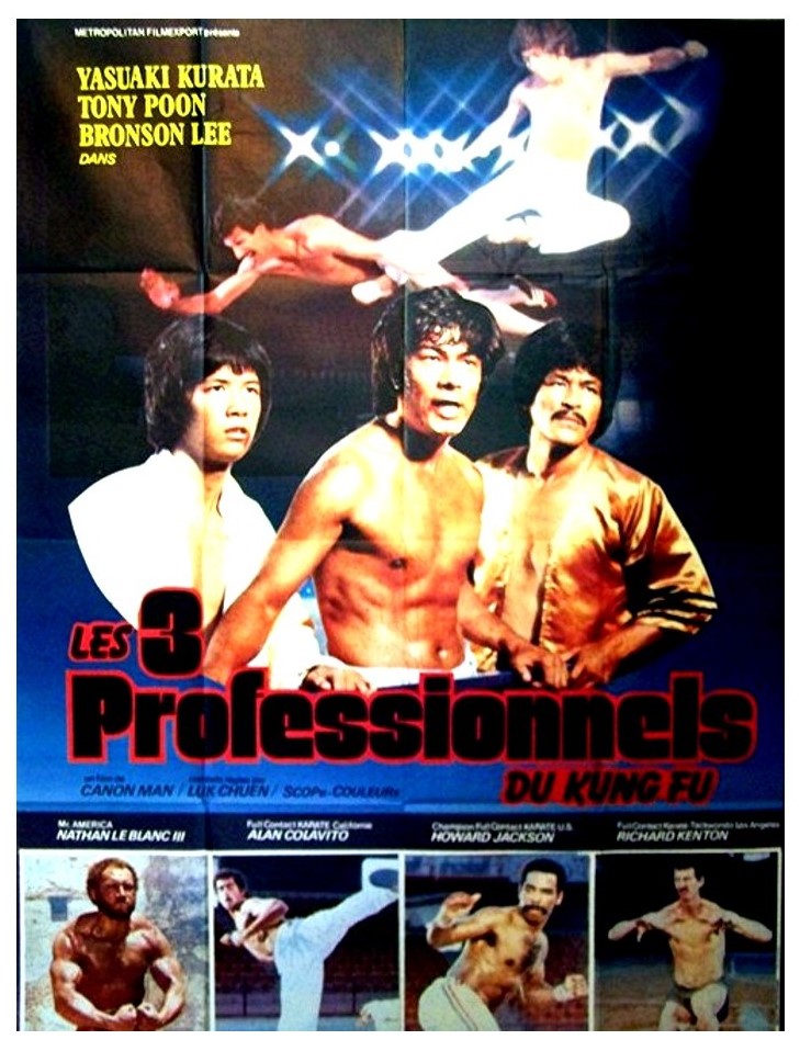 affiche du film Les Trois professionnels du kung fu