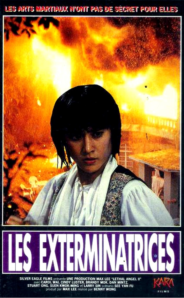 affiche du film Les Exterminatrices