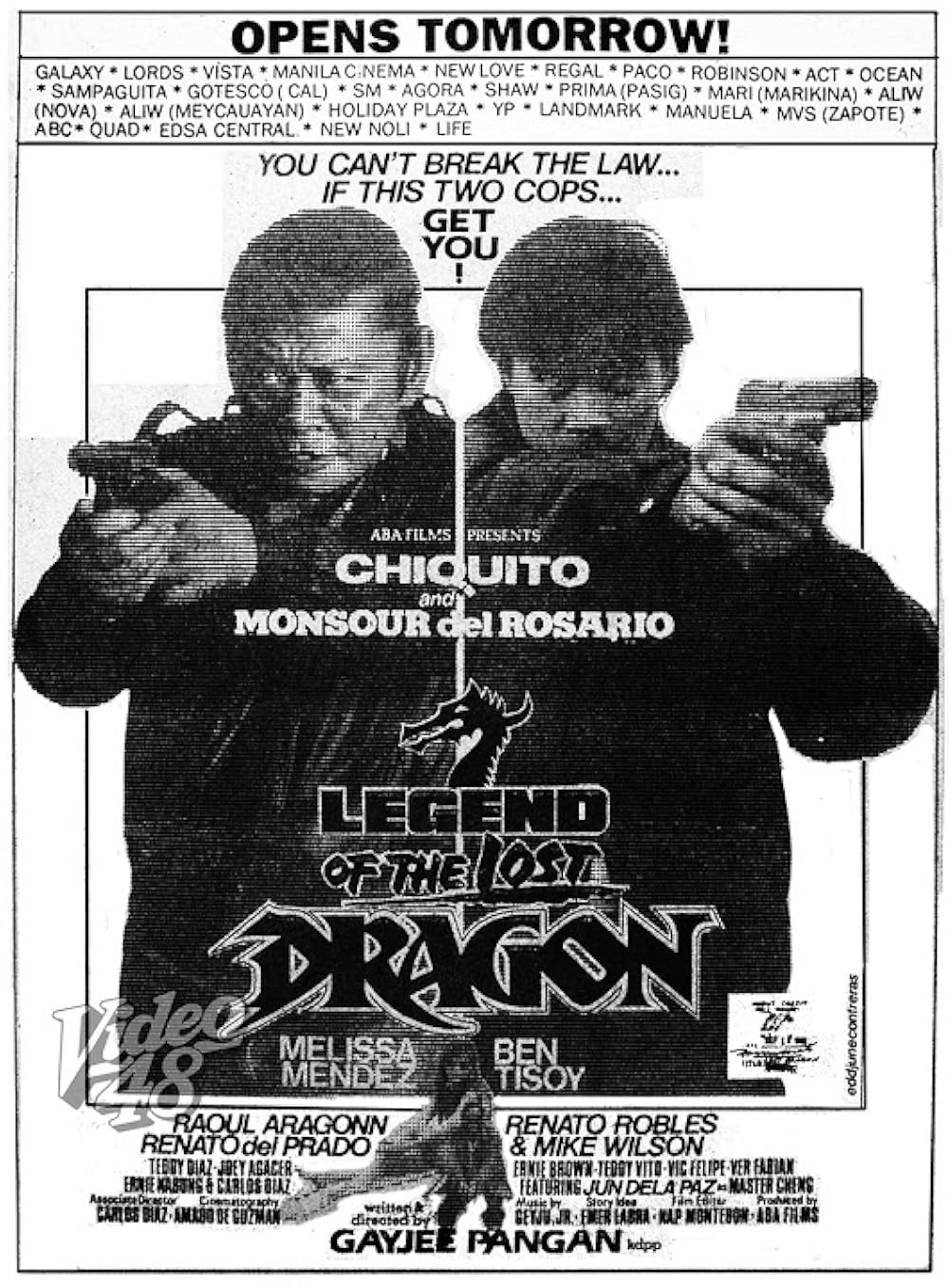 affiche du film Legend of the Lost Dragon