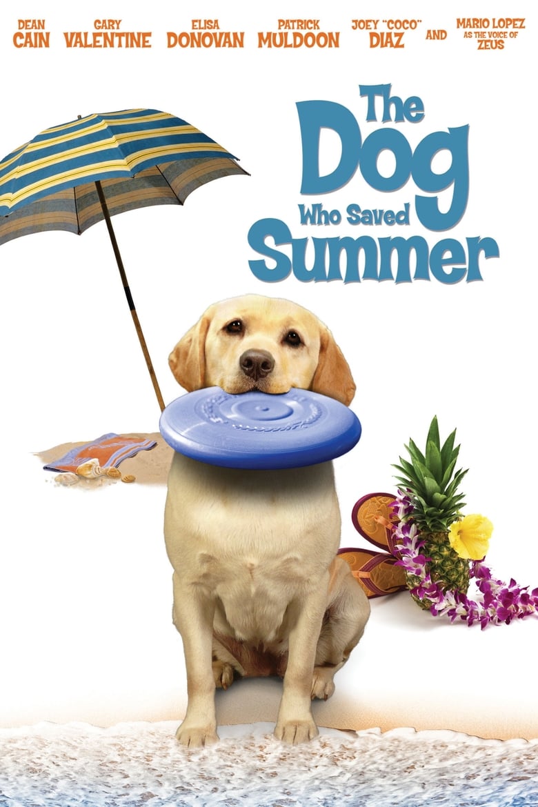 affiche du film Le chien qui a sauvé l'été