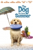 Le chien qui a sauvé l'été (The Dog Who Saved Summer)