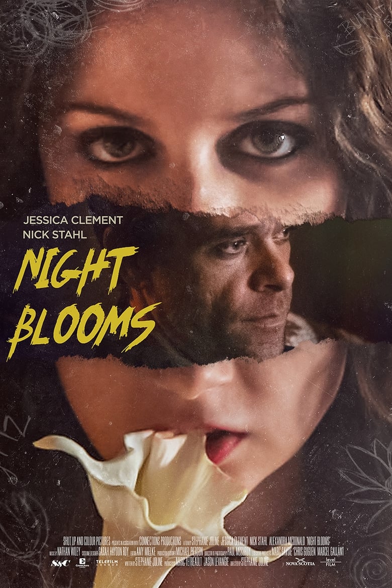 affiche du film Night Blooms