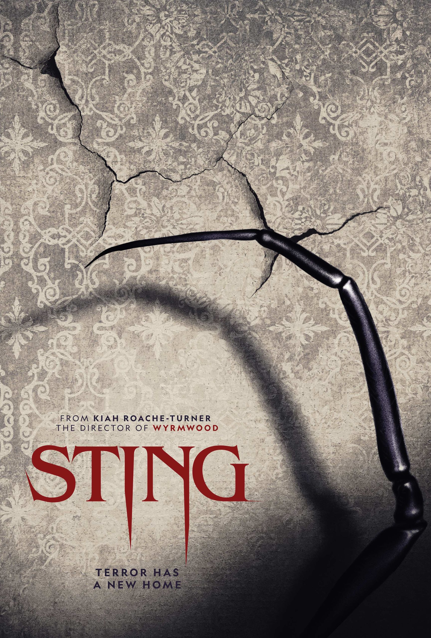 affiche du film Sting