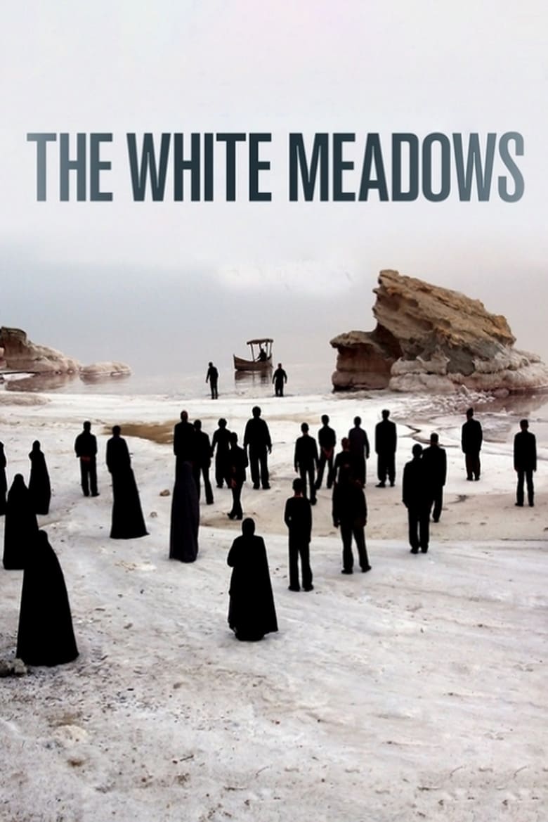 affiche du film The White Meadows