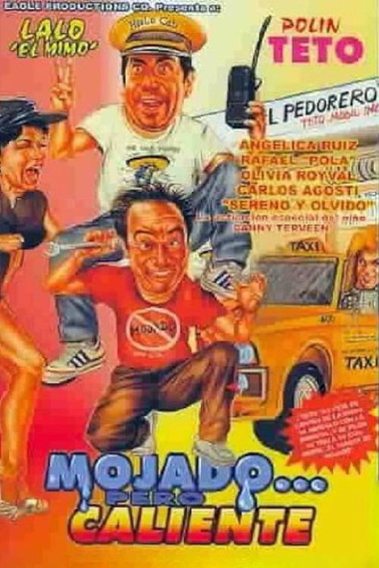 affiche du film Mojado... pero caliente
