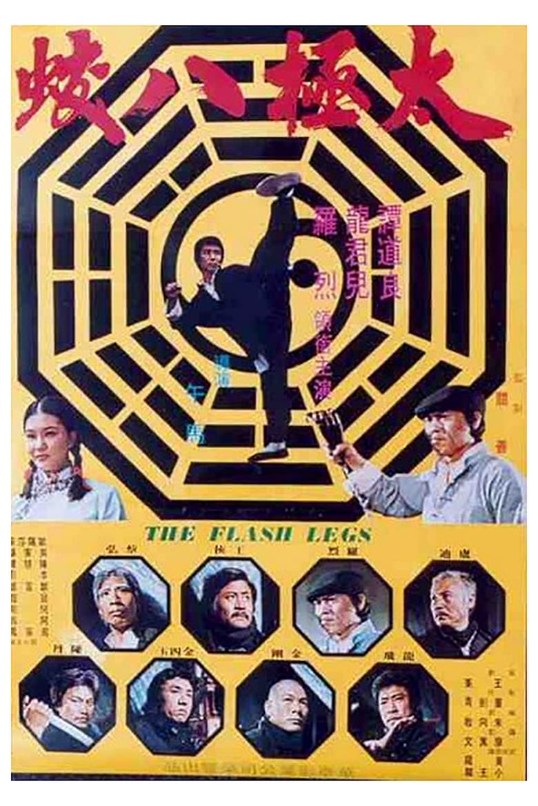 affiche du film Shaolin contre les huit serpents