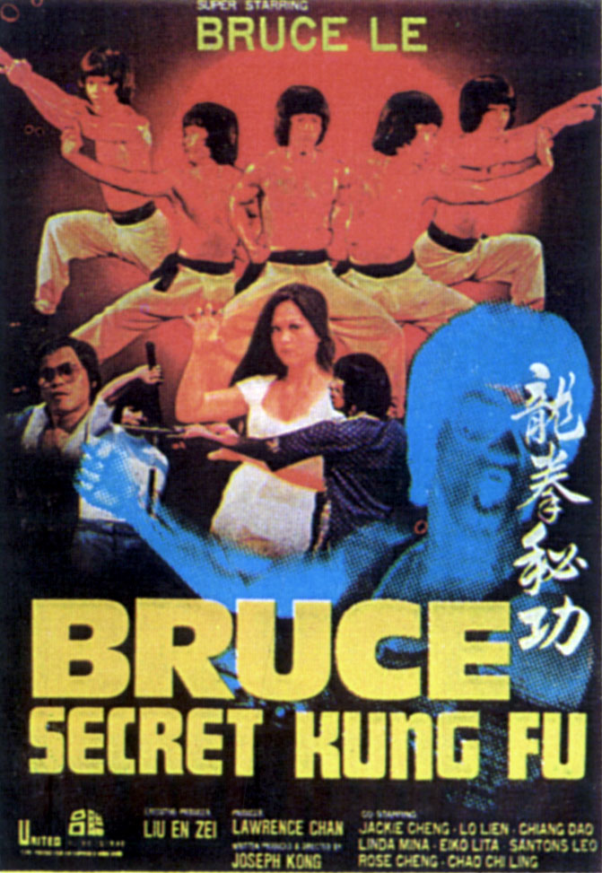 affiche du film Bruce's Secret Kung Fu