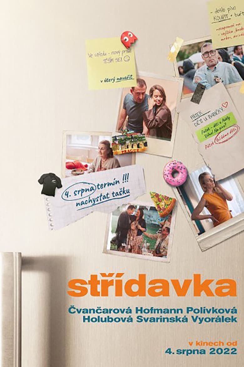 affiche du film Střídavka