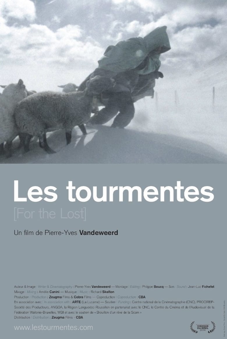 affiche du film Les tourmentes