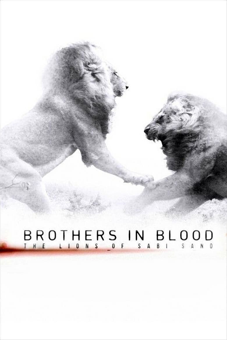 affiche du film Brothers in Blood: The Lions of Sabi Sand