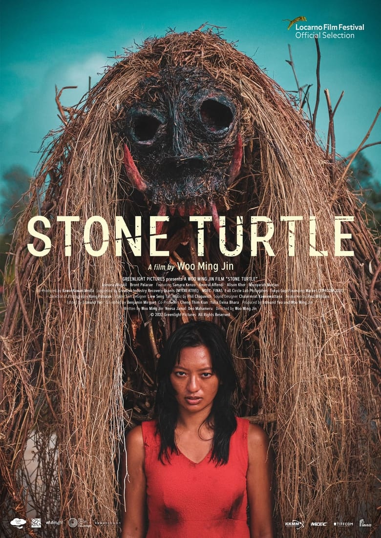 affiche du film Stone Turtle