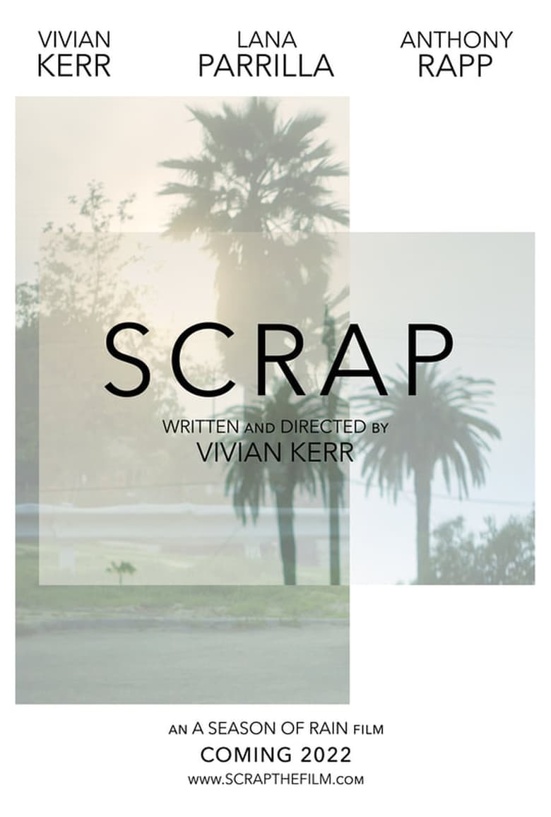affiche du film Scrap