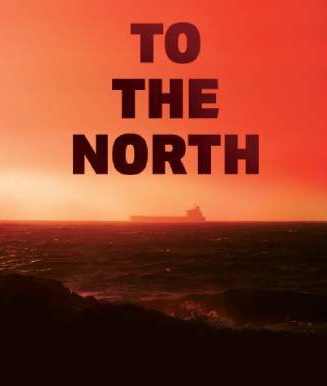 affiche du film To the North