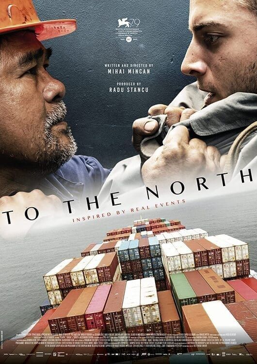 affiche du film To the North