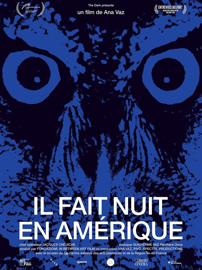 affiche du film Il fait nuit en Amérique