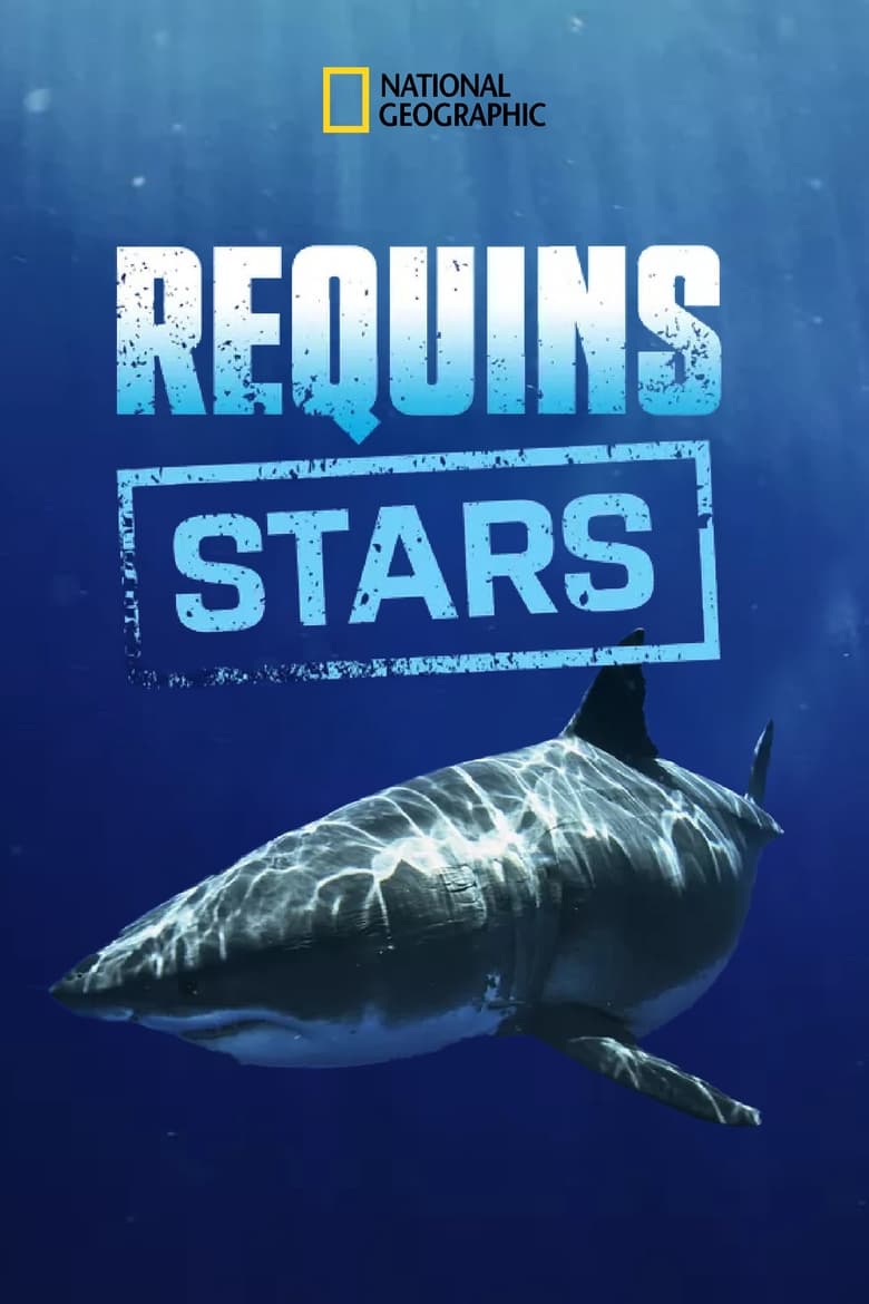 affiche du film Requins stars