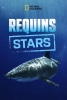 Requins stars (Most Wanted Sharks)