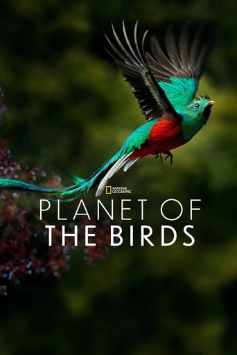 affiche du film La planète des oiseaux