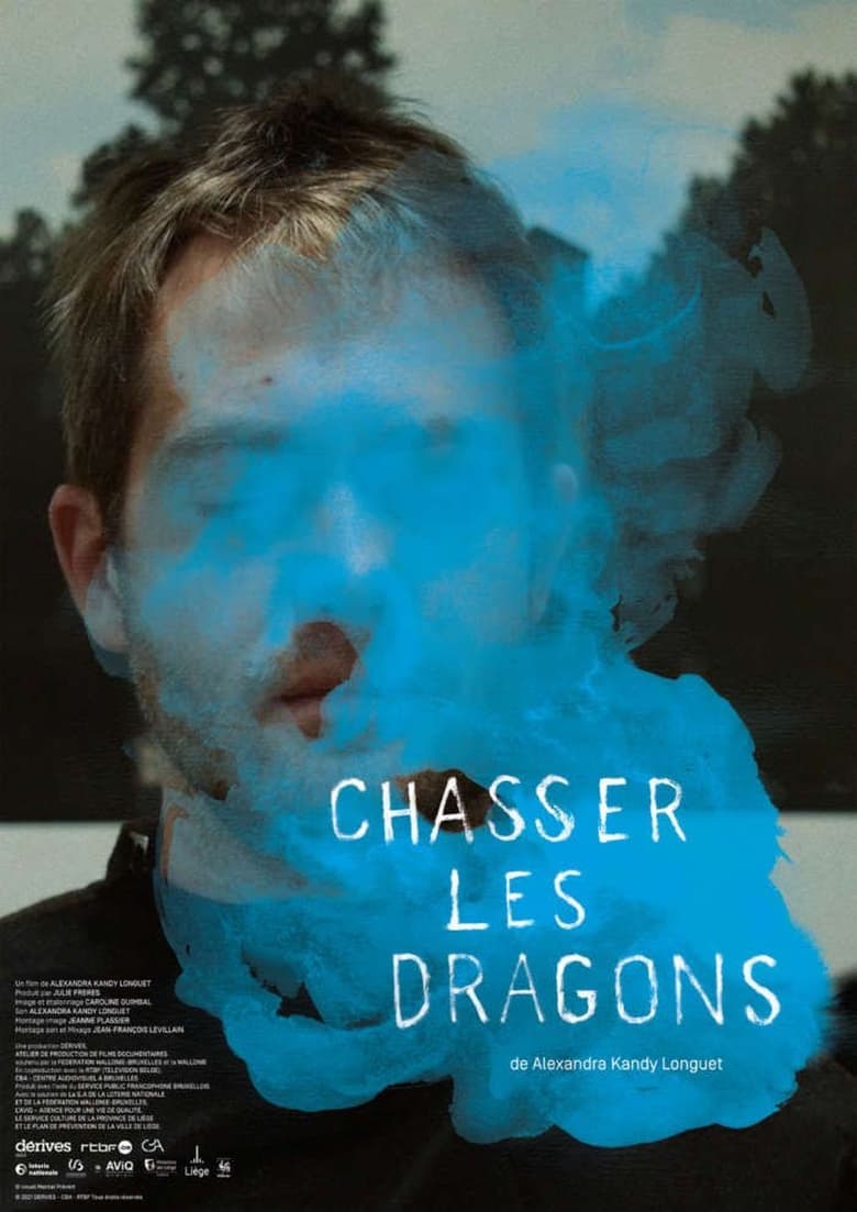 affiche du film Chasser les dragons