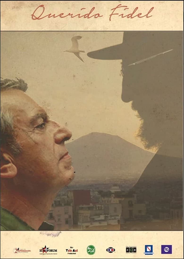 affiche du film Querido Fidel