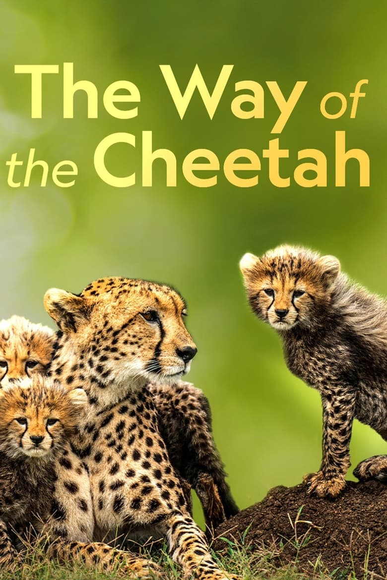 affiche du film The Way of the Cheetah