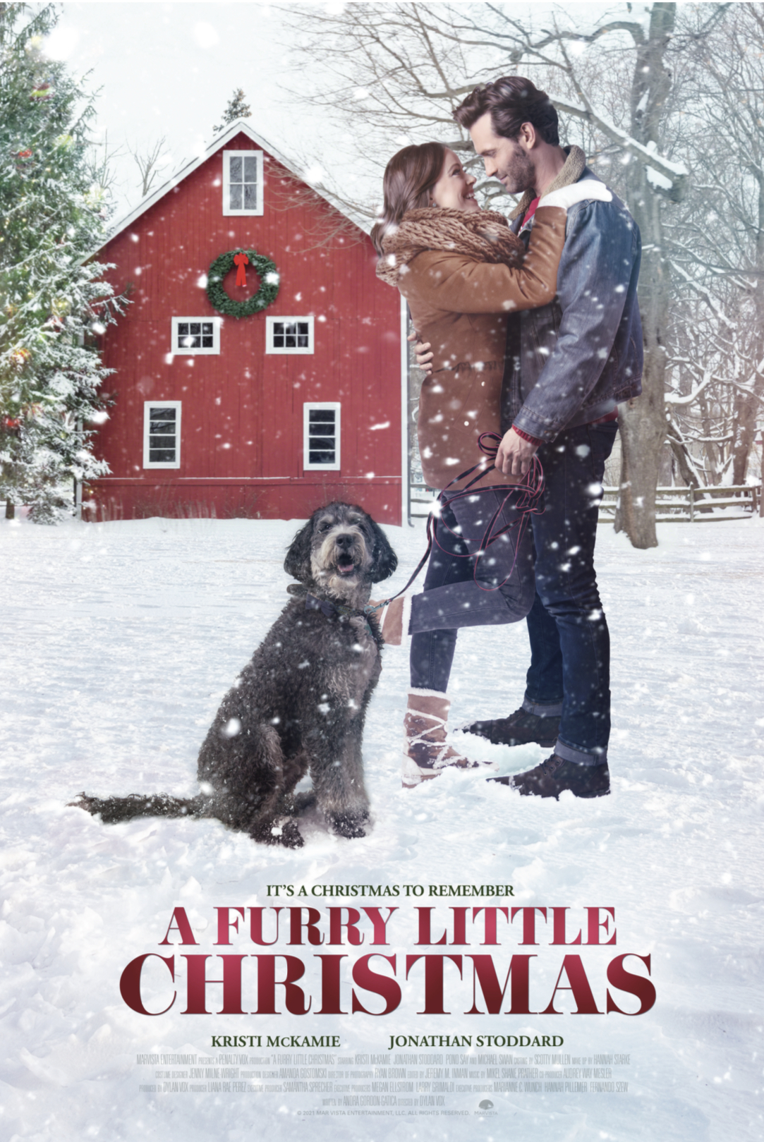affiche du film A Furry Little Christmas