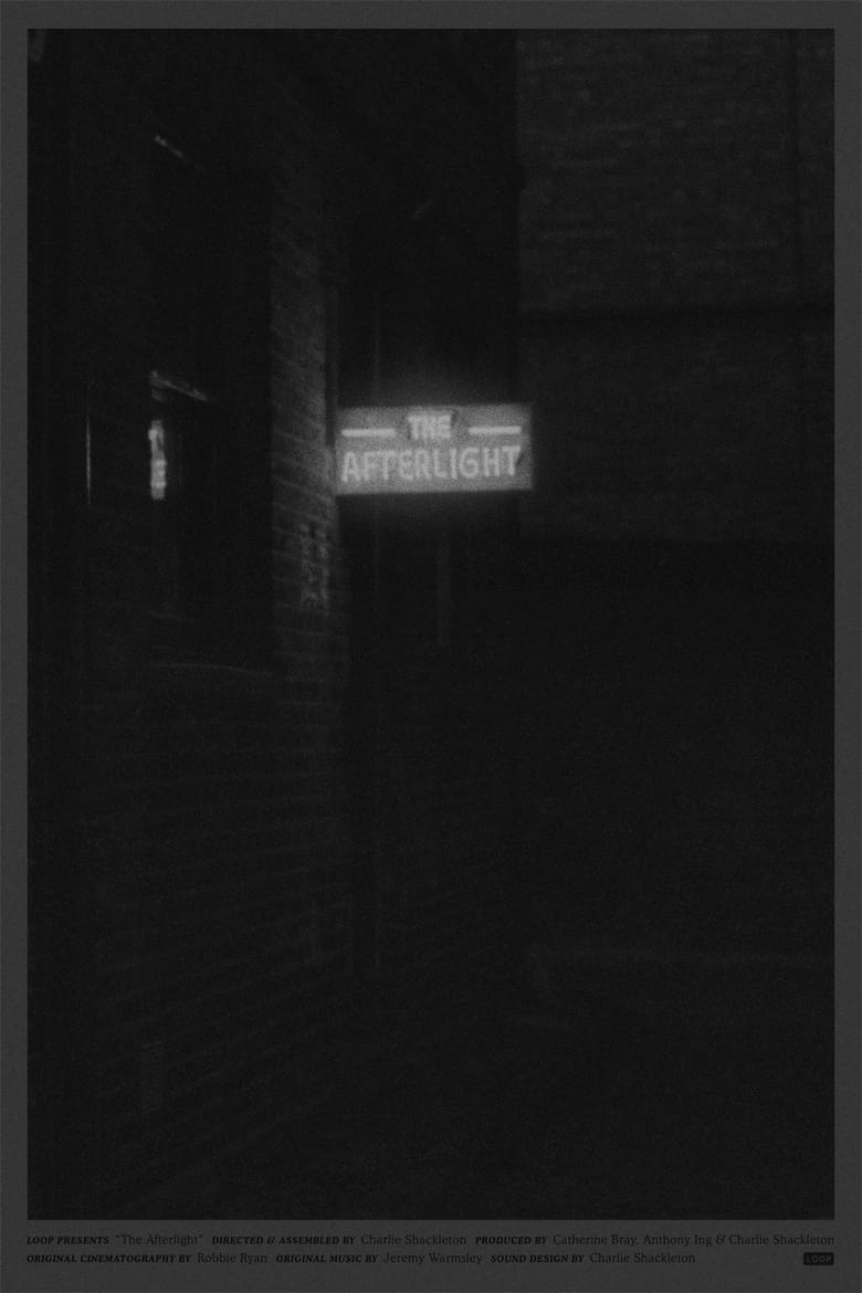 affiche du film The Afterlight