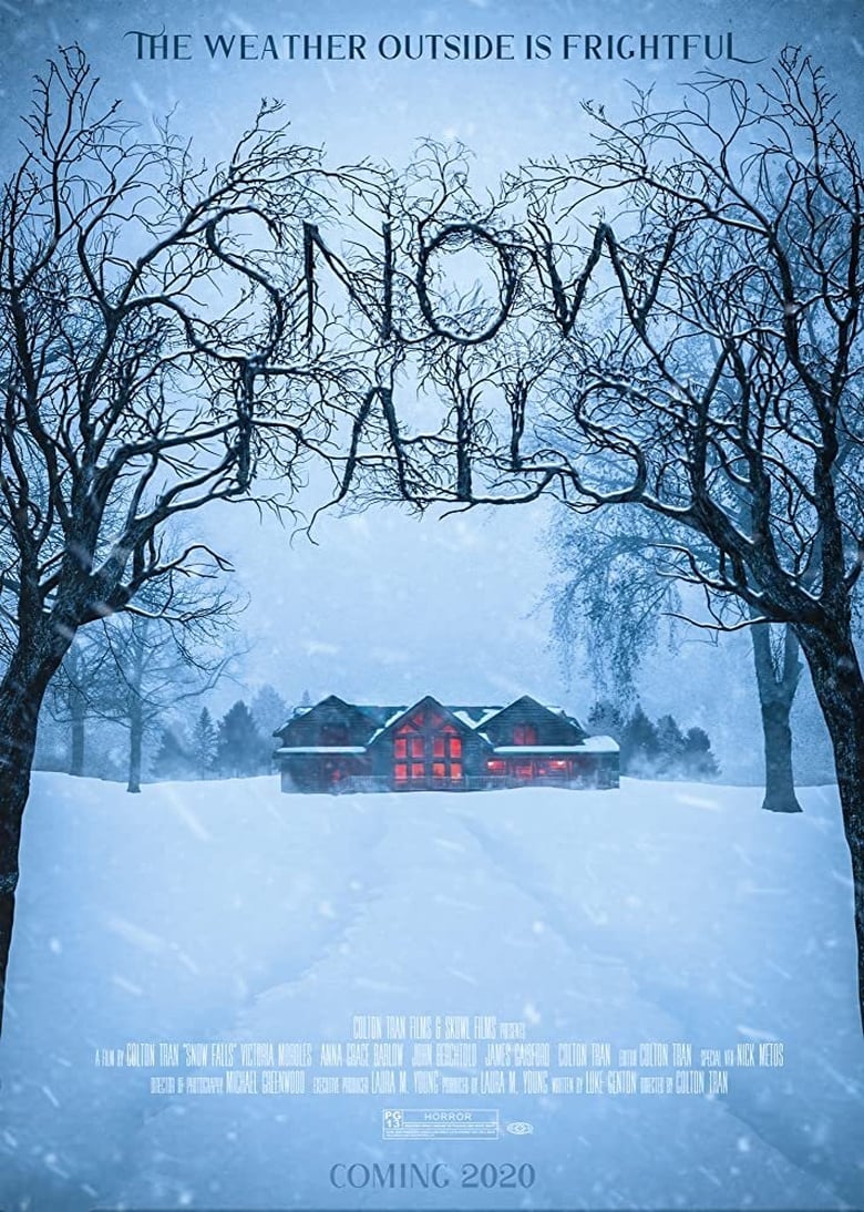 affiche du film Snow Falls