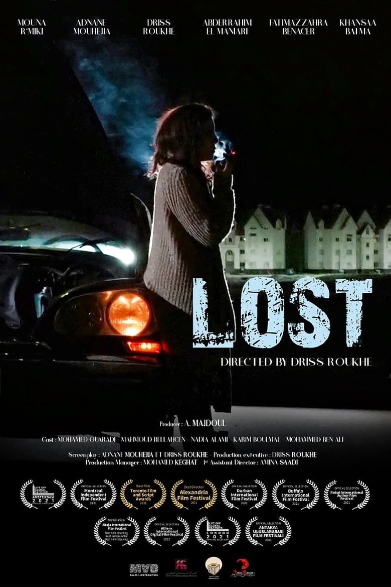 affiche du film Lost