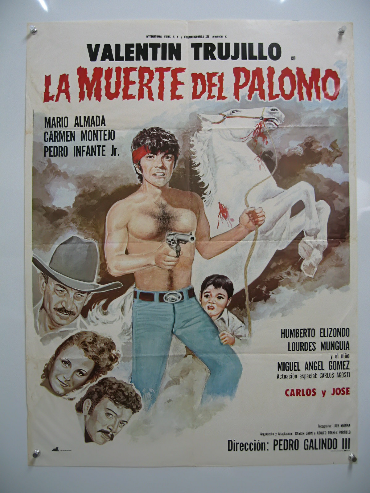 affiche du film La muerte del Palomo