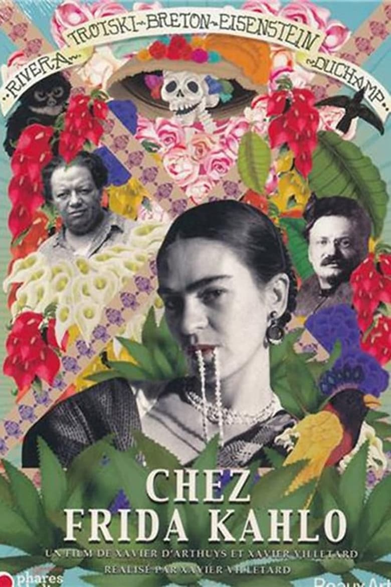 affiche du film Chez Frida Kahlo