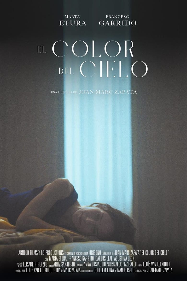 affiche du film El color del cielo