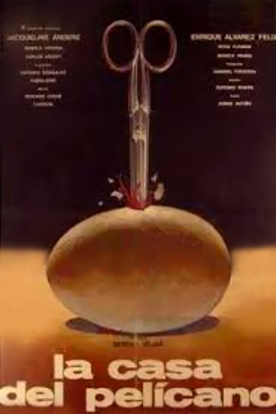 affiche du film La casa del pelícano