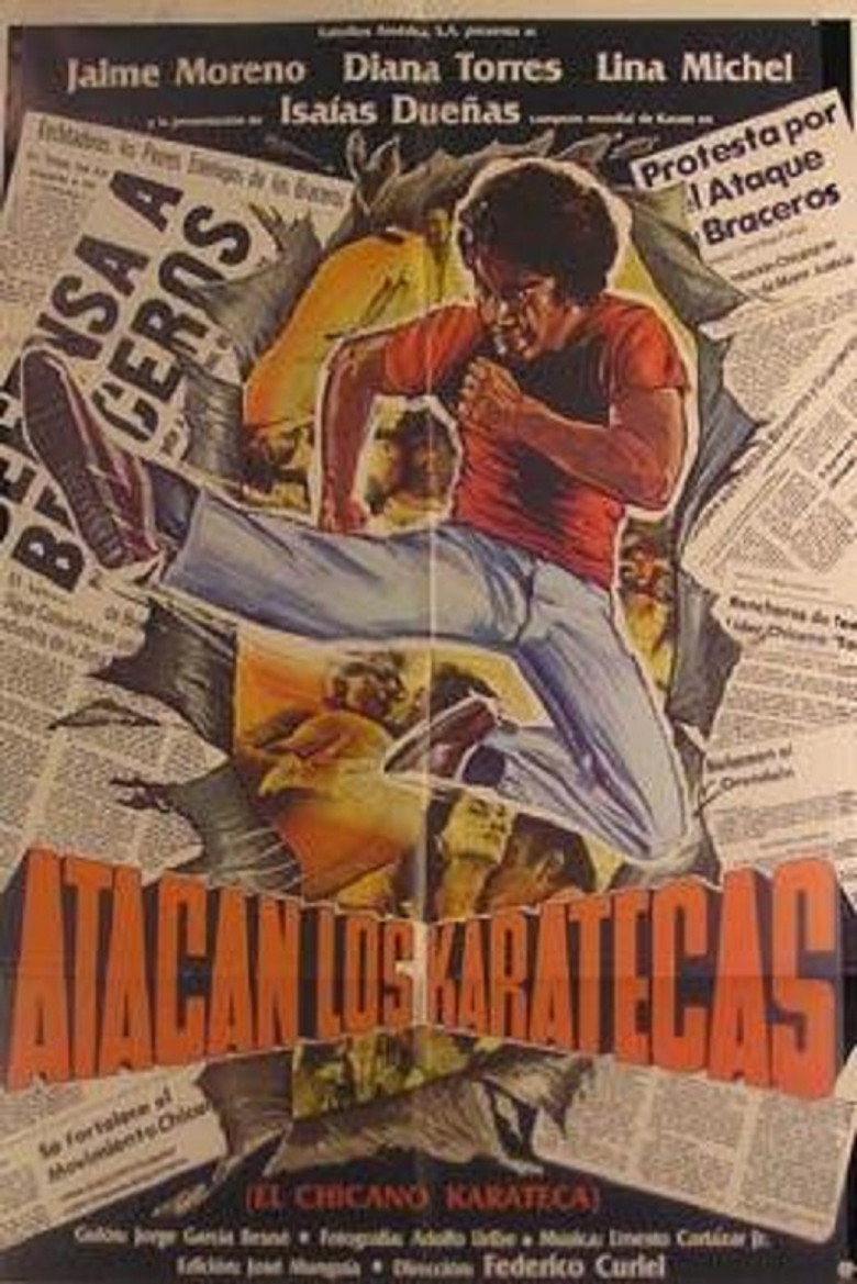affiche du film Atacan los karatecas