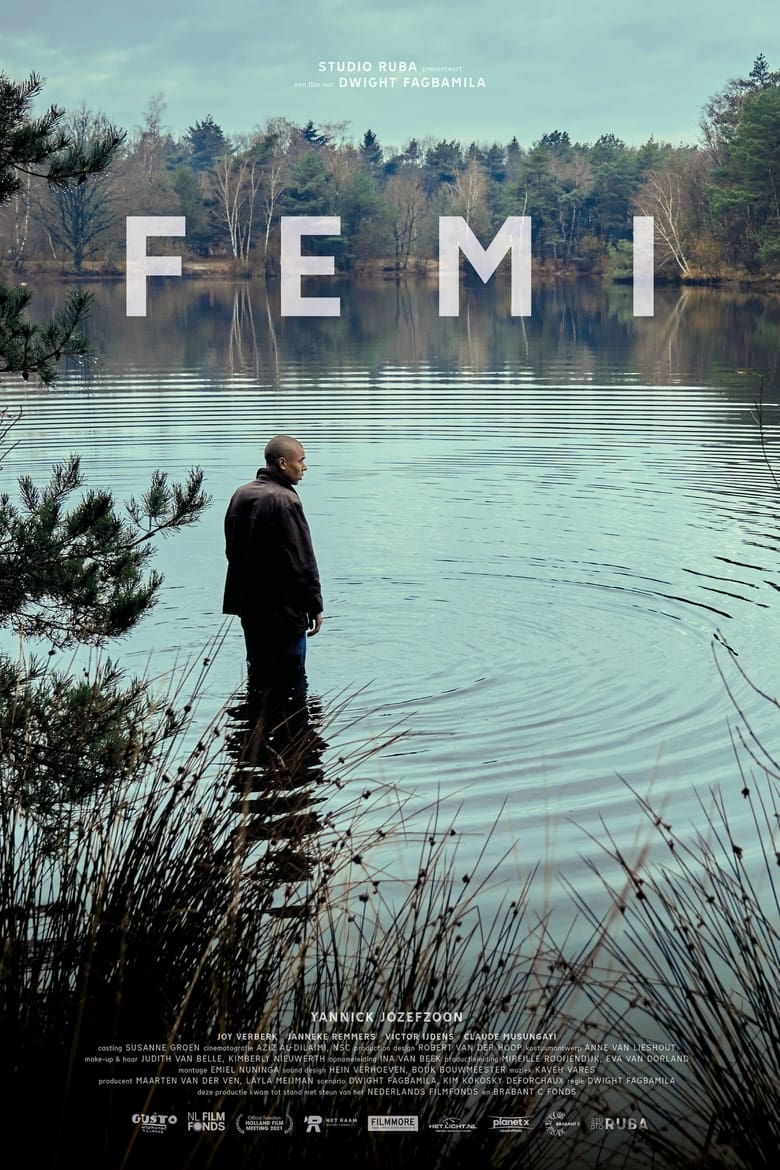affiche du film Femi