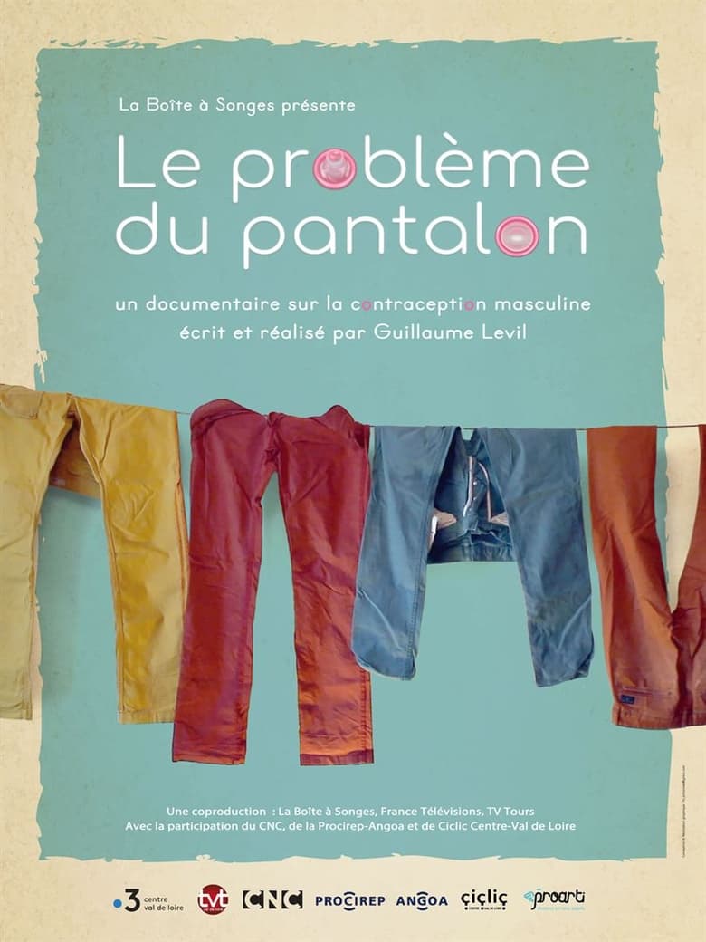 affiche du film Le problème du pantalon